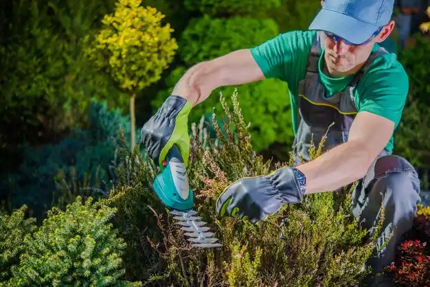landscaping services Curtice